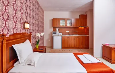 a bedroom with a large bed and a kitchen at Karolina Hotel in Sunny Beach
