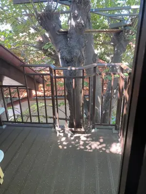 a porch with a tree and a fence at Villas Sozopol in Sozopol