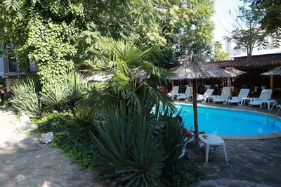a pool with chairs and a umbrella and a palm tree at Family hotel Tropicana in Ravda