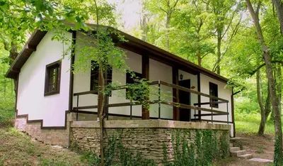 a small house in the middle of a forest at Eco Complex Sherba in Debelets