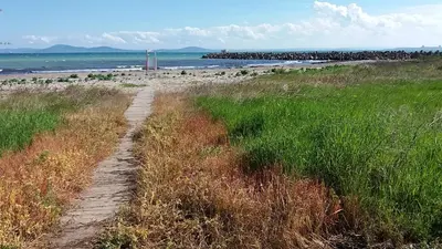 a dirt path leading to a beach with the ocean at Matev Hotel in Burgas City