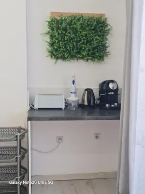 a room with a counter with a plant on the wall at Aglaya 2 in Pomorie