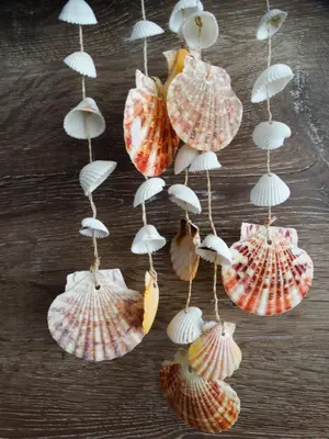 a group of shells hanging on a table at Lora boutique in Pomorie
