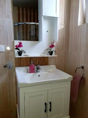 a bathroom with a white sink and a mirror at Old Sailor Apartment in Obzor