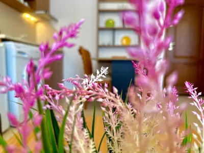 a bunch of pink flowers in a vase at Efir 2 - Menada Apartments in Sunny Beach