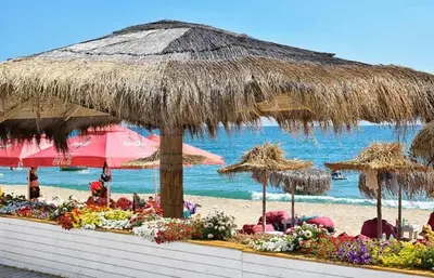 a beach with a large straw umbrella and some chairs at Apartment RAYA in Obzor