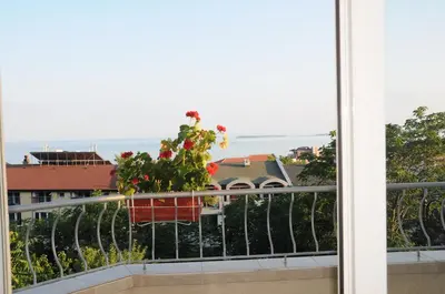 a plant in a red cart on a balcony at Hotel Babeva in Sveti Vlas