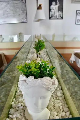 a plant in a vase on a glass table at Family Hotel Apolonia in Sozopol