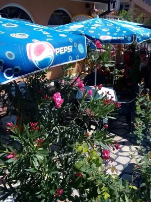 a blue umbrella and some plants and flowers at Guest House Hetodon in Sozopol