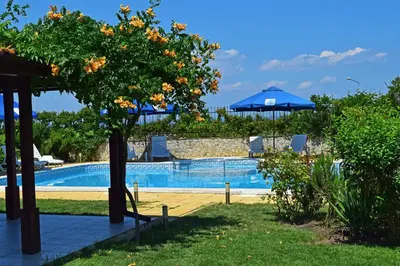 a swimming pool with a tree and some chairs at Saint Stefan Villas in Sozopol
