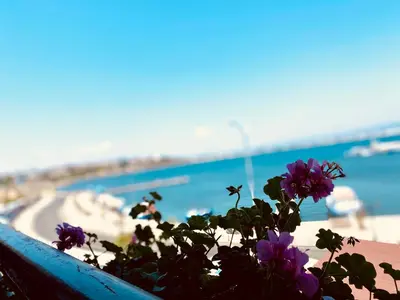 a plant with purple flowers in front of a beach at Family Hotel Saint Nikola in Nesebar