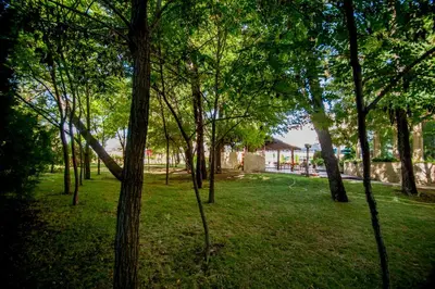 a group of trees in a park with green grass at Jeravi Beach Hotel - All Inclusive in Sunny Beach
