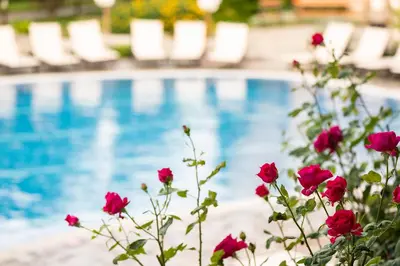 a group of pink roses in front of a swimming pool at Garden of Eden Complex in Sveti Vlas