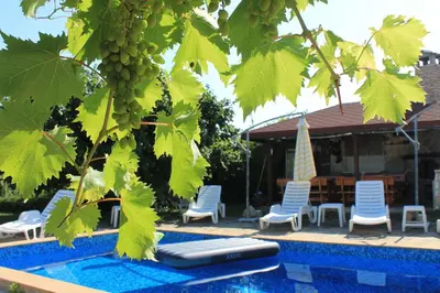 a bunch of grapes hanging from a tree next to a pool at The White House in Bliznatsi