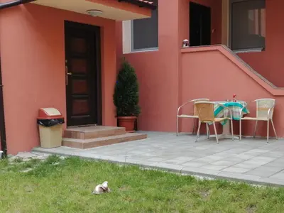 a cat sitting in the grass in front of a house at New Star Residence in Burgas City