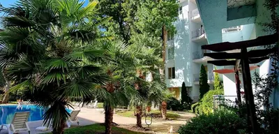 a palm tree next to a building with a swimming pool at Niko Apartments in Sunny Beach