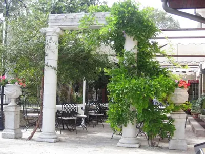 a pergola with plants and tables and chairs at Hotel Saint John Baptist Nessebar in Nesebar
