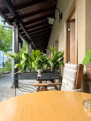 a table and chairs on a patio with plants at Lotus Family Hotel - Free Parking in Sunny Beach