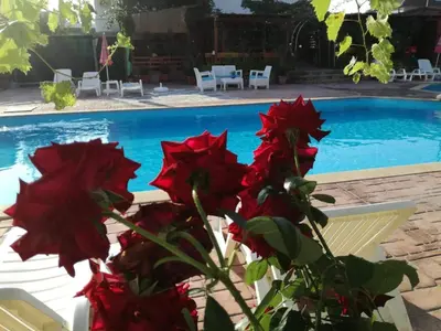 a plant with red flowers next to a swimming pool at Ethno guest suite in Primorsko