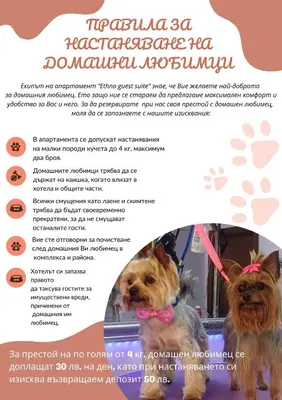 a flyer for a dog adoption event with two dogs under an umbrella at Ethno guest suite in Primorsko