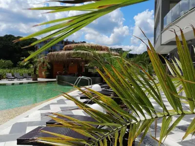 a resort pool with lounge chairs and a palm tree at Allure Beach Resort Aparthotel in Primorsko
