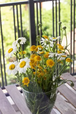 a vase filled with yellow and white flowers on a table at The Captain Be my guests! by RV Apartments in Varna City