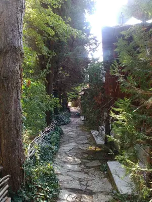a stone path through a forest with trees at Nimpha Bungalows in Kamchia