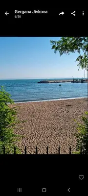 a beach with birds on the sand and water at Студия първа линия Черноморец in Chernomorets