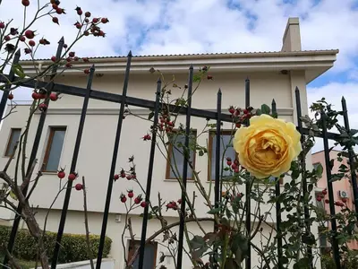a yellow rose on a fence in front of a house at Sun Village Villa 13 in Byala