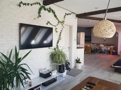 a living room with potted plants and a tv on a wall at Синьо лято in Burgas City