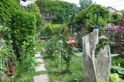 a garden with flowers and a stone pathway at Guest House Amazonka in Varna City