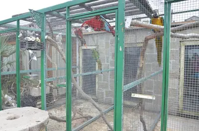a group of cages with birds in them at Guest House Amazonka in Varna City