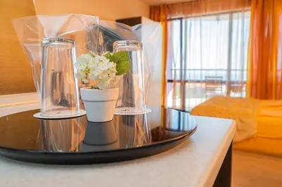 a table with two vases and a plant on it at Vila Vista Вила Виста in Sveti Vlas