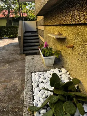 a garden with rocks and a plant next to a building at Kъща за гости Христина in Lozenets