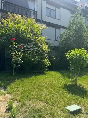 a yard with two bushes and a building at Santa Marina Apartment 503 in Sozopol