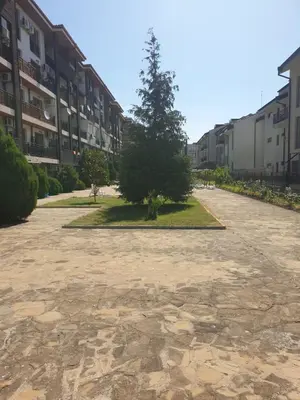 a tree in the middle of a courtyard with apartment buildings at Mit Prot luks Apartment Panorama Bay 2 ap109 in Sveti Vlas