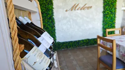 a bunch of bottles of wine in a room at Family Hotel Milev in Sveti Vlas