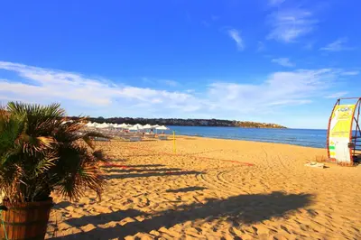 a beach with a palm tree and umbrellas on it at Menada Sozopol Apartments in Sozopol