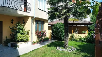 a palm tree in a yard next to a house at Kirovi House - guest rooms in Tsarevo