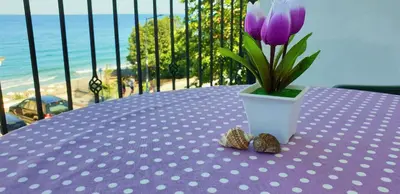 a purple table with a flower in a vase and two rocks at Майстор Костадин - 1878 in Obzor