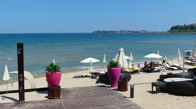 a beach with chairs and umbrellas and the ocean at Oasis Beach Studios in Sunny Beach