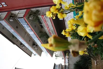 an overhead view of a building with yellow flowers at Zoya Guest House in Ravda
