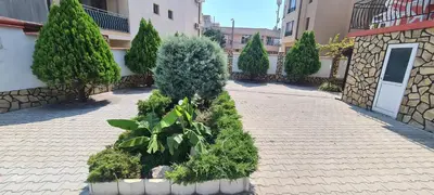 a courtyard with a row of trees and bushes at Sineva Guest House in Ravda