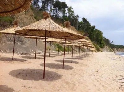 a row of straw umbrellas on a beach at Villa Sky Music in Obzor