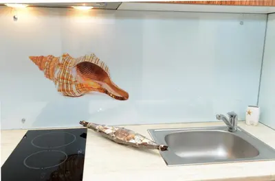 a kitchen counter with a sink and a fish on the wall at Diamond Kiten in Kiten