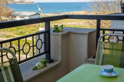a balcony with twofrogs sitting on the ledge of a balcony at Green Life One-Bedroom Apartment with Sea View by Flаt Manаger in Sozopol