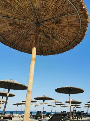 a group of straw umbrellas on a beach at Marine Beach Sands- All Inclusive in Obzor