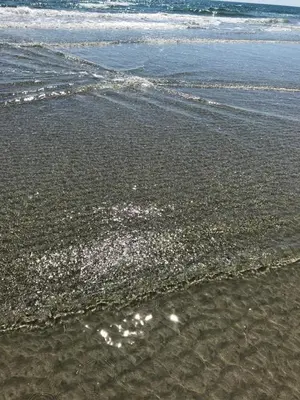 a sandy beach with waves coming in from the ocean at Вила ОмниЯ in Chernomorets