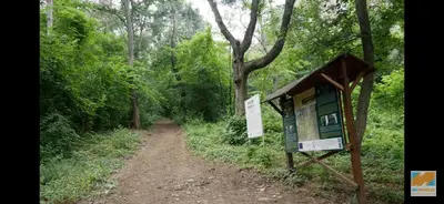 a sign on a dirt trail in a forest at GUEST HOUSE ZORNICA in OBZOR in Obzor