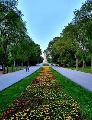 a long path of flowers in a park at Deluxe studio Center city in Varna City